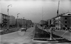 №19