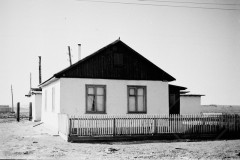 №03