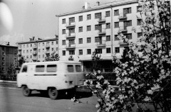 №11