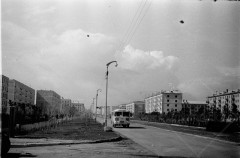 №12