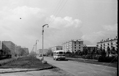 №13