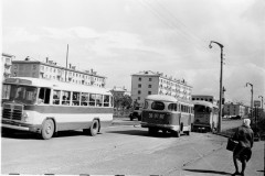 №17