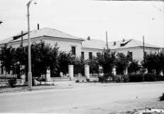 №19