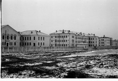 №24