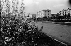 №33