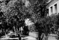 №13