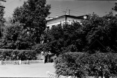№15