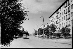 №33
