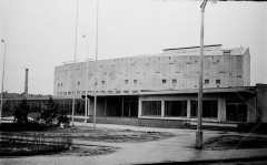 №13