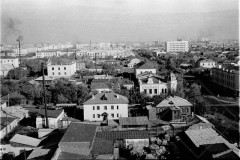 №11