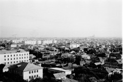 №26