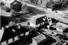 №36
