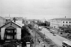 №15