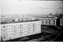 №13