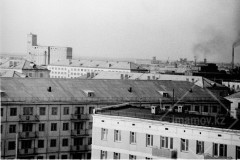 №19