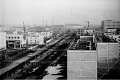 №32