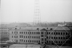 №33