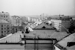 №36