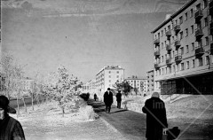 №37
