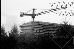 №41