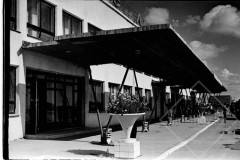 №27