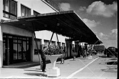 №36