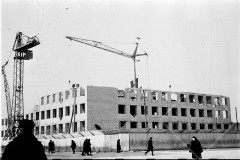 №15