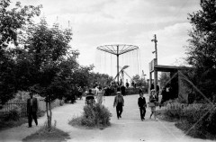 №06