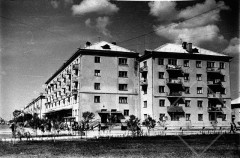 №13
