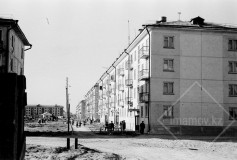 №11