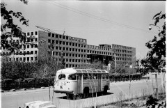 №17