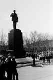 №11