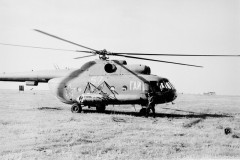 №12