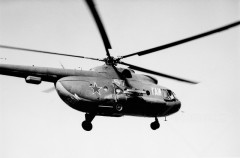 №14