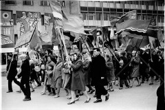 №17