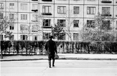 №13