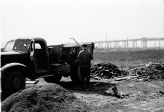 №11