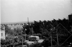 №16