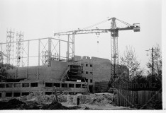 №10