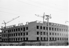 №11
