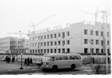 №12