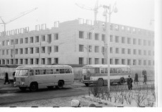 №13