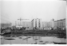 №13