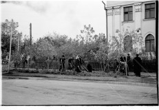 №16