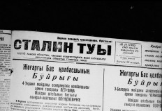 №11