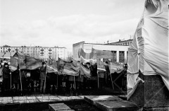 №13