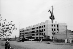 №16