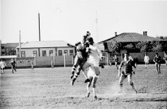 №11