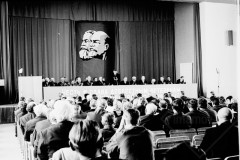 №15