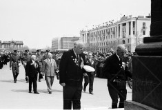 №11